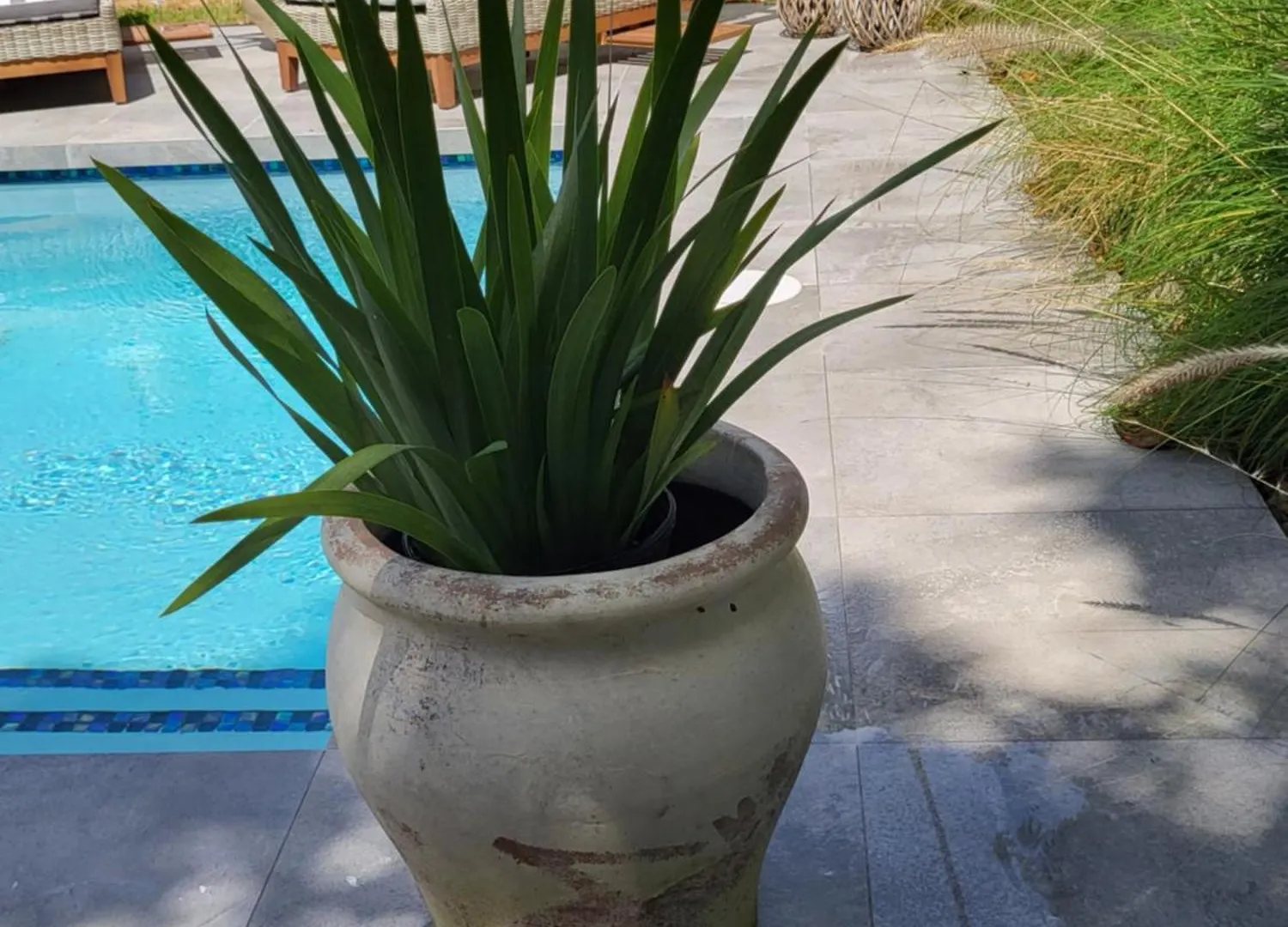 Le'Oasis Villa Juncos