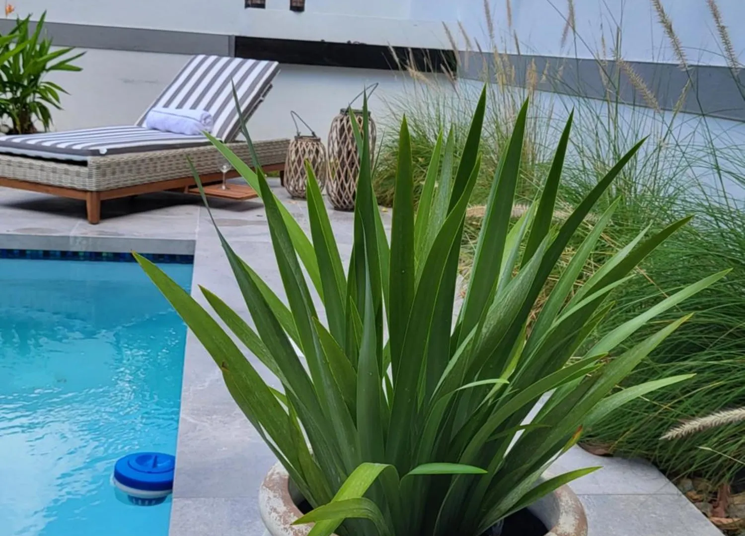 Le'Oasis Villa Juncos